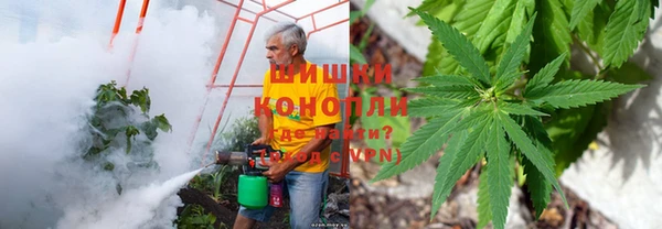 индика Магадан